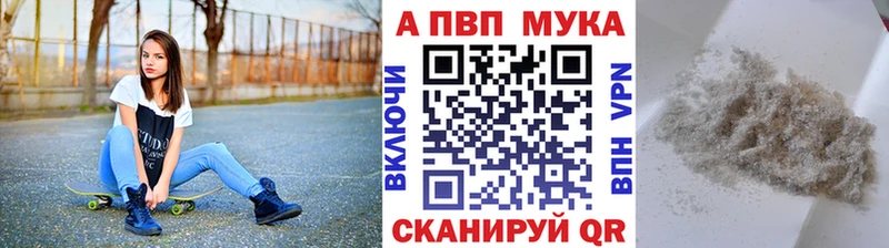 Alfa_PVP СК Пучеж
