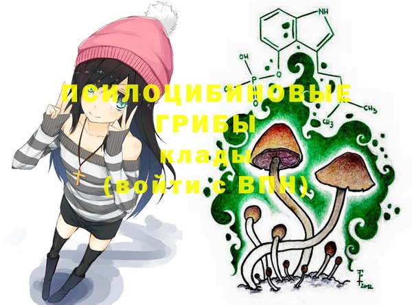 ECSTASY Нефтекумск